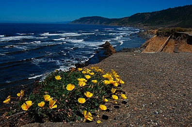 Route 1 erosion Westport-Union State Park on the northern CA California coast.  Not good for an RV