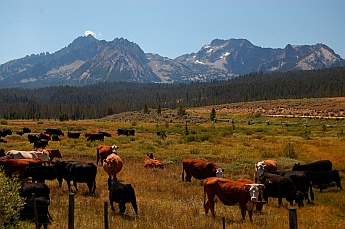 Sawtooth Mountains