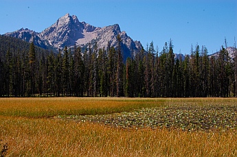Stanley Idaho camping