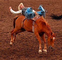 Bareback riding bronco riding Helmville Rodeo