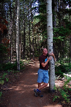 Limber Pine Natural Trail
