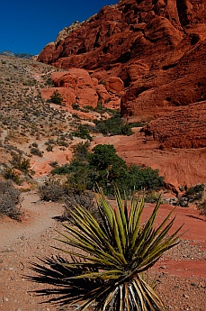 Red Rock Canyon National Conservation Area Nevada Calico Hills hike