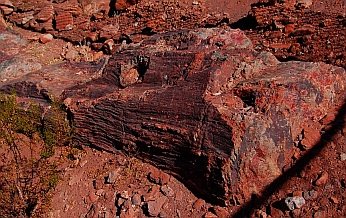 Petrified log at Valley of Fire State Park