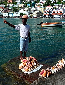 Street vendor selling conch shells to cruise ships