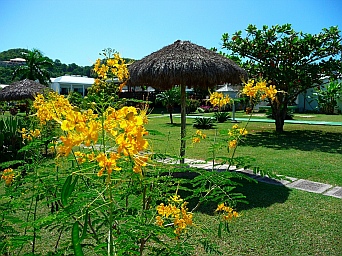 Coyaba Resort Grenada