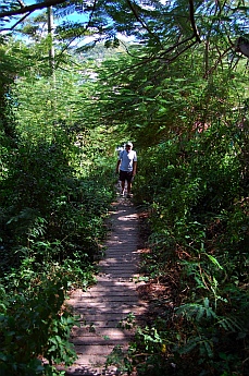 Path near Eco Dive hotel