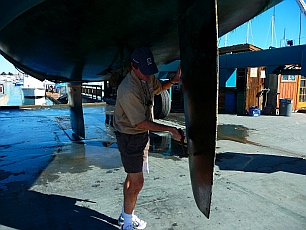 s/v Groovy survey