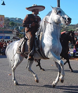 Ensenada Carnaval - Caballero