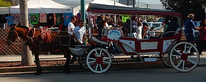 Ensenada Carnaval - horse & buggy rides