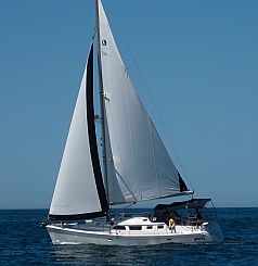 sv Groovy catches a nice breeze in Ensenada, Mexico.