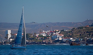 Newport-Ensenada racing sailboats arrive