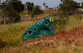 Frog-painted rock