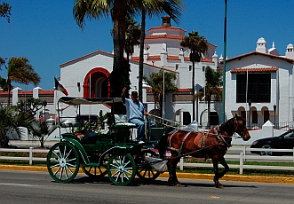 Horse and buggy in front of the Centro Cultural Riviera del Pacifico