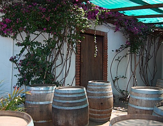 Wine barrels at Santo Tomas winery