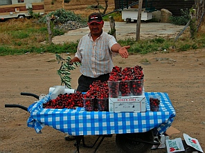 Oregon cherries for sale on an Ensenada Mexico roadside