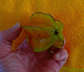 Star fruit
