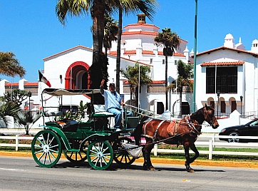 Horse & buggy, Ensenada, Mexico where we were cruising with s/v Groovy.