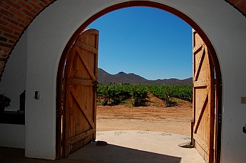 Adobe Guadalupe Winery and B&B