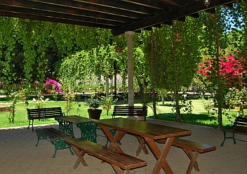 L.A. Cetto Winery outdoor picnic areas
