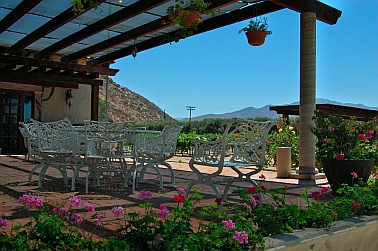 L.A. Cetto Winery outdoor picnic areas