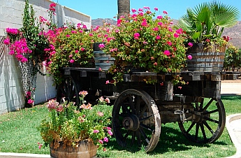 L.A. Cetto Winery