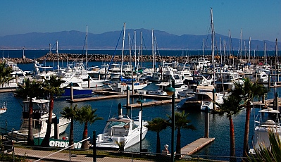 Marina Coral