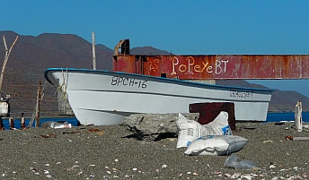 Panga at Magdalena Bay