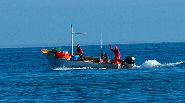 Pangas in Magdalena Bay