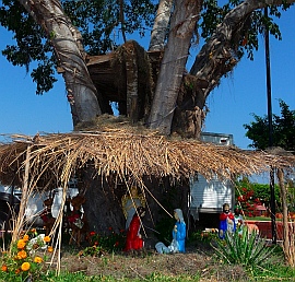 Christmas in Chamela Bay, Mexico
