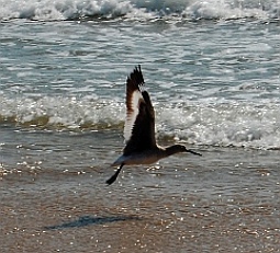 Chamela Bay anchorage, Mexico