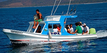 Water taxis ferry tourists at Isla Ixtapa - Isla Grande - Isla de Ixtapa - Ixtapa Island, Melia Resort, Guerrero, Mexico
