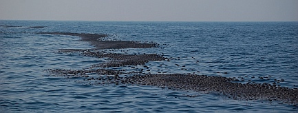 Oil slick outside Lazaro Cardenas, Mexico