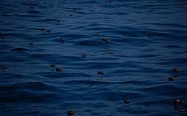 Oil slick outside Lazaro Cardenas, Mexico
