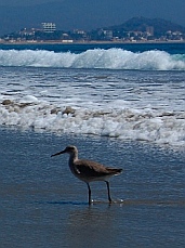 Playa La Boquita, Santiago Bay, Manzanillo, Colima, Mexico