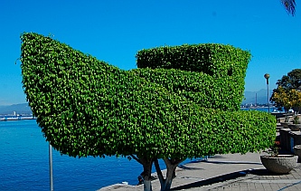 Manzanillo, Colima, Mexico