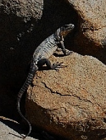Manzanillo, Colima, Mexico