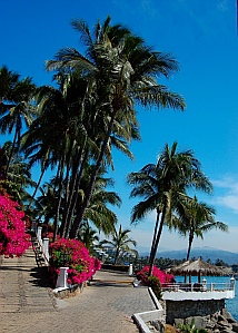 Las Hadas Resort, Manzanillo, Mexico