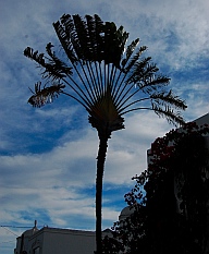 Las Hadas Resort, Manzanillo, Mexico