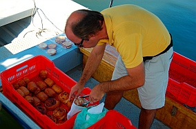 The French Baker in the Barra de Navidad lagoon anchorage, Jalisco, Mexico
