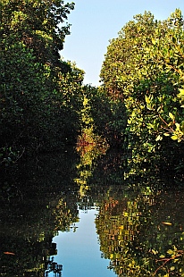 Jungle dinghy tour, Tenacatita, Mexico