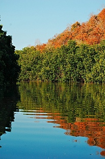 Jungle dinghy tour, Tenacatita, Mexico