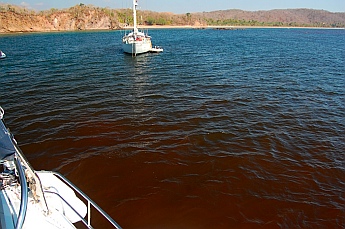 Red tide in Tenacatita, Mexico