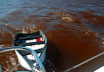 Red tide in Tenacatita, Mexico