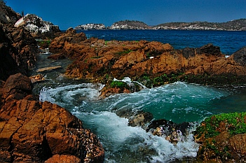 Tidepools on Isla Colorado, Chamela Bay, Jalisco, Mexico