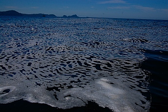 Red tide scum in Tenacatita anchorage
