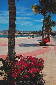 Malecon, La Paz, Baja California Sur, Sea of Cortez, Mexico