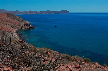 Isla San Francisco, Baja California Sur, Sea of Cortez, Mexico