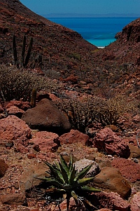Ensenada Grande, Isla Partida, Islas Espiritu Santos, Baja California Sur, Sea of Cortez, Mexico