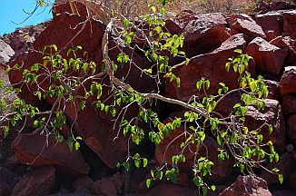 Ensenada Grande, Isla Partida, Islas Espiritu Santos, Baja California Sur, Sea of Cortez, Mexico