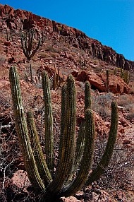 Ensenada Grande, Isla Partida, Islas Espiritu Santos, Baja California Sur, Sea of Cortez, Mexico